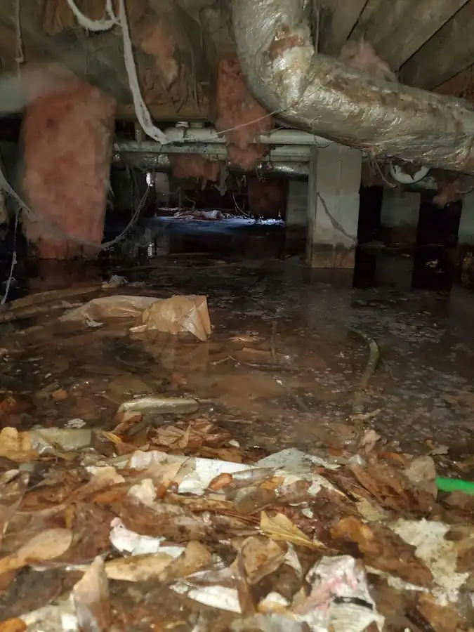 Crawl space flood assessment for Commercial Water Damage Restoration in Terrell Hills