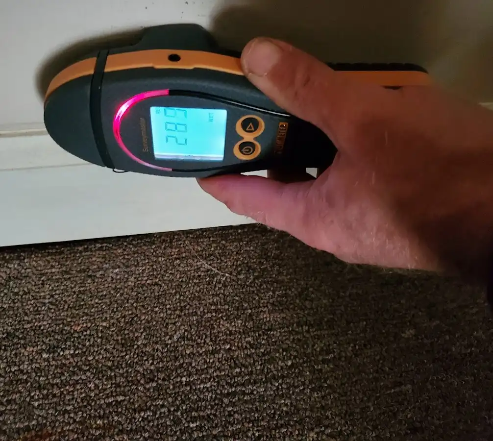 Moisture detection at baseboard during Burst Pipe Cleanup in Terrell Hills